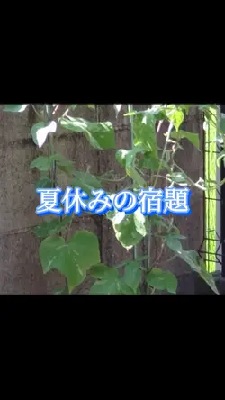 夏休みの宿題