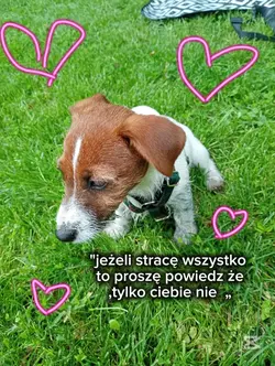 tylko cb nie 