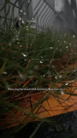 Puas yog kuv muab 