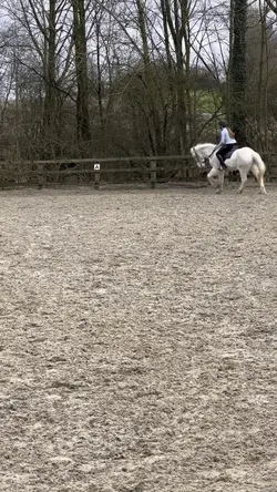 Slo mo template 