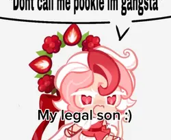 Pavolvaaa