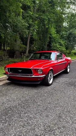 ✨CLASSIC✨