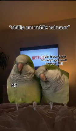 Beziehung Meme Cut 