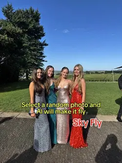 Al sky fly