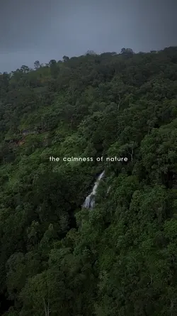 calmness of nature