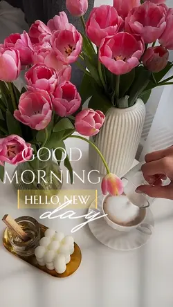 Good Morning 