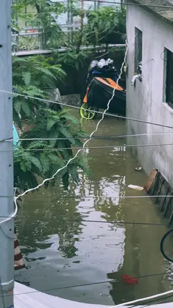 Nariyan kapa ba