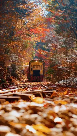 train