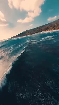 Mini Vlog 