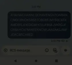 hidden message
