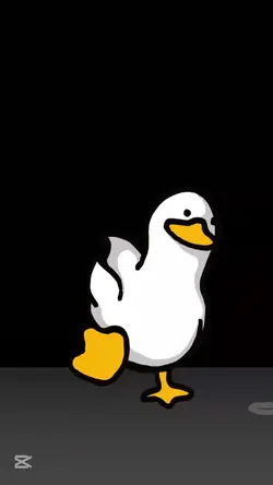 Duck Edit