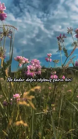 Mutlu olmak