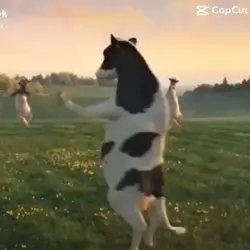 Benim rüyam 