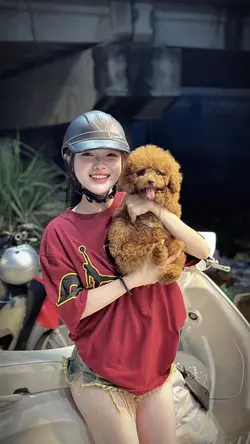 Vòng lặp & màu 