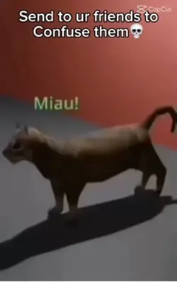 USBMICROTYPEB CAT