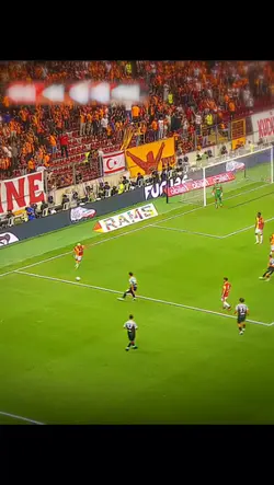 barış 