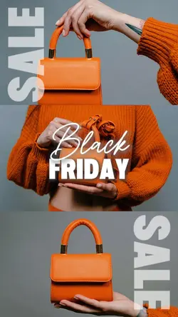 Black Friday Sale