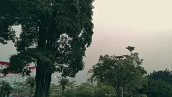 LANSCANPE VIDEO
