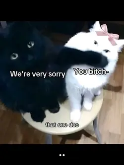 we're very sorry