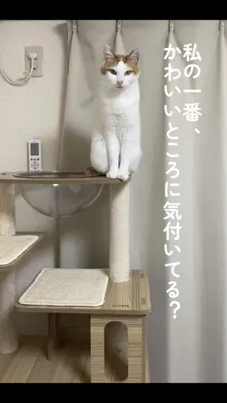 私の1番かわいいところに気付いてる？