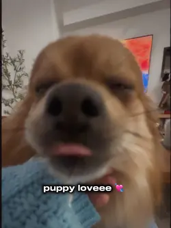 puppy love !!