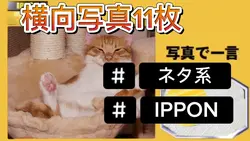 IPPONジャポニカ学習帳