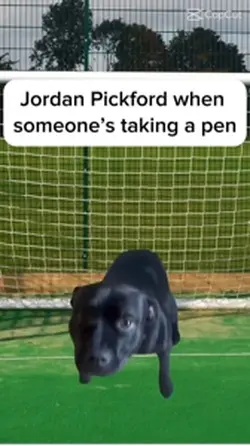 Pickford meme
