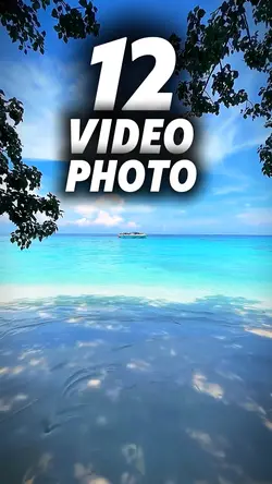 12 clip or photo 