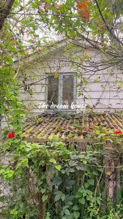 The dream house