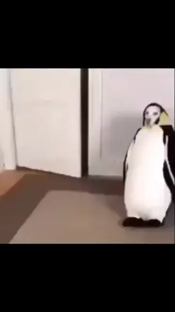 FUNNY MEME