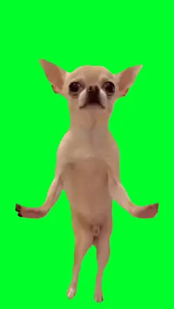 Dog clap dance