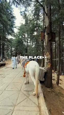 The place