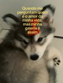 Amor da minha vida 