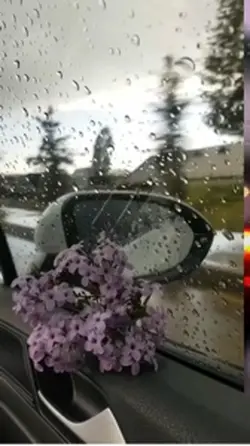 Islakşehirtaşlarımda