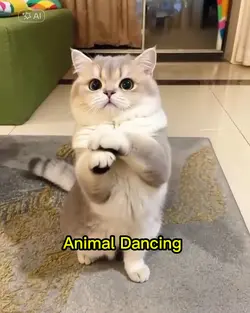 Animal Dancing AI