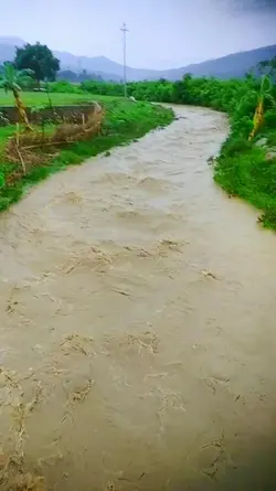 खोला बाडी 