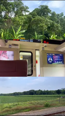 3 Video 1 Frame