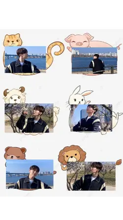 han river cat