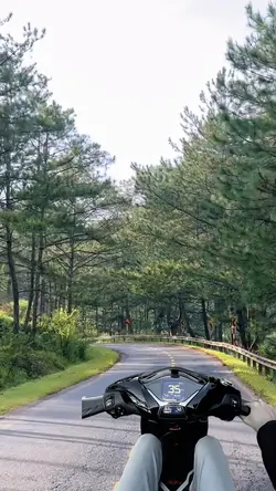 Trend đi Đà Lạt