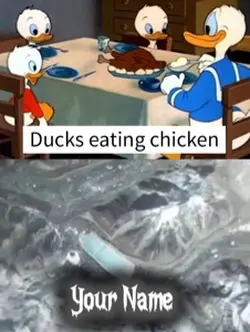 Ducks and chicken 