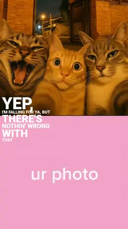 pose kucing ber 3
