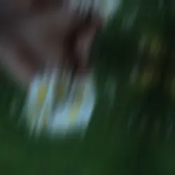 —
