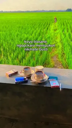 koyo biasane