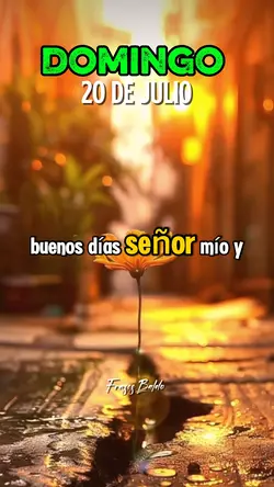 Domingo 20 de Julio
