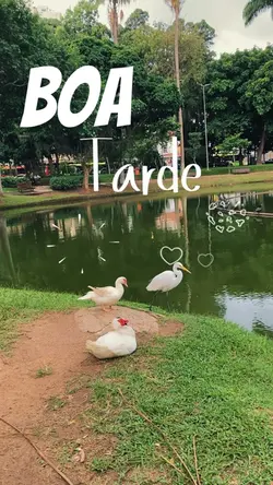 Boa tarde motivação