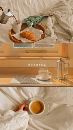 morning split screen