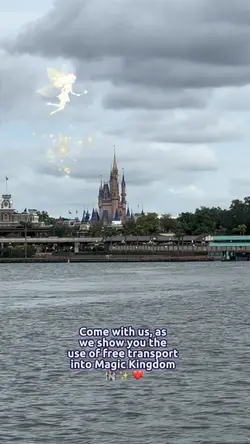 Magic Kingdom 