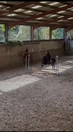 saut a poney 