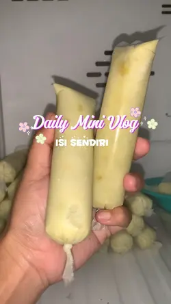 Daily Mini Vlog