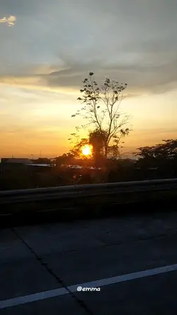 surat cinta starla